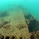 Image for article titled A Rare Glimpse of a US Seaplane Lost In the First Minutes of the Pearl Harbor Attack
